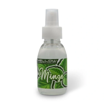 Liquid Elements - Innenraumduft - Smellow Minze - Lufterfrischer 100ml